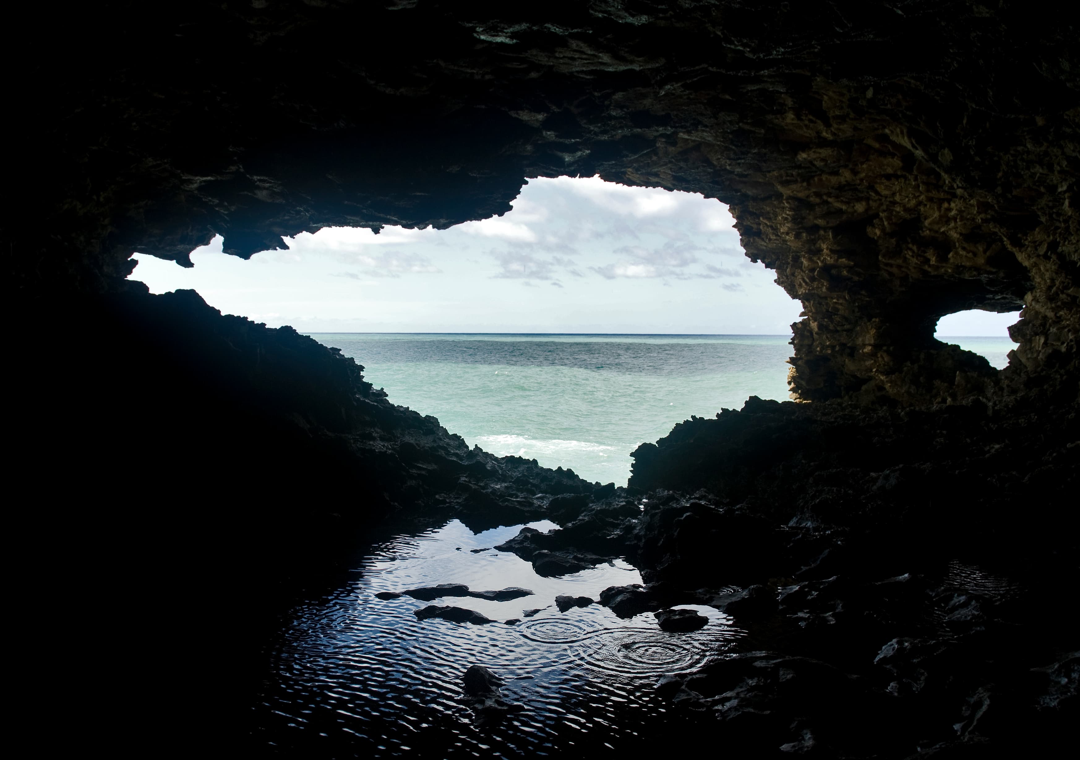 View from the Animal Flower Cave, Barbados
