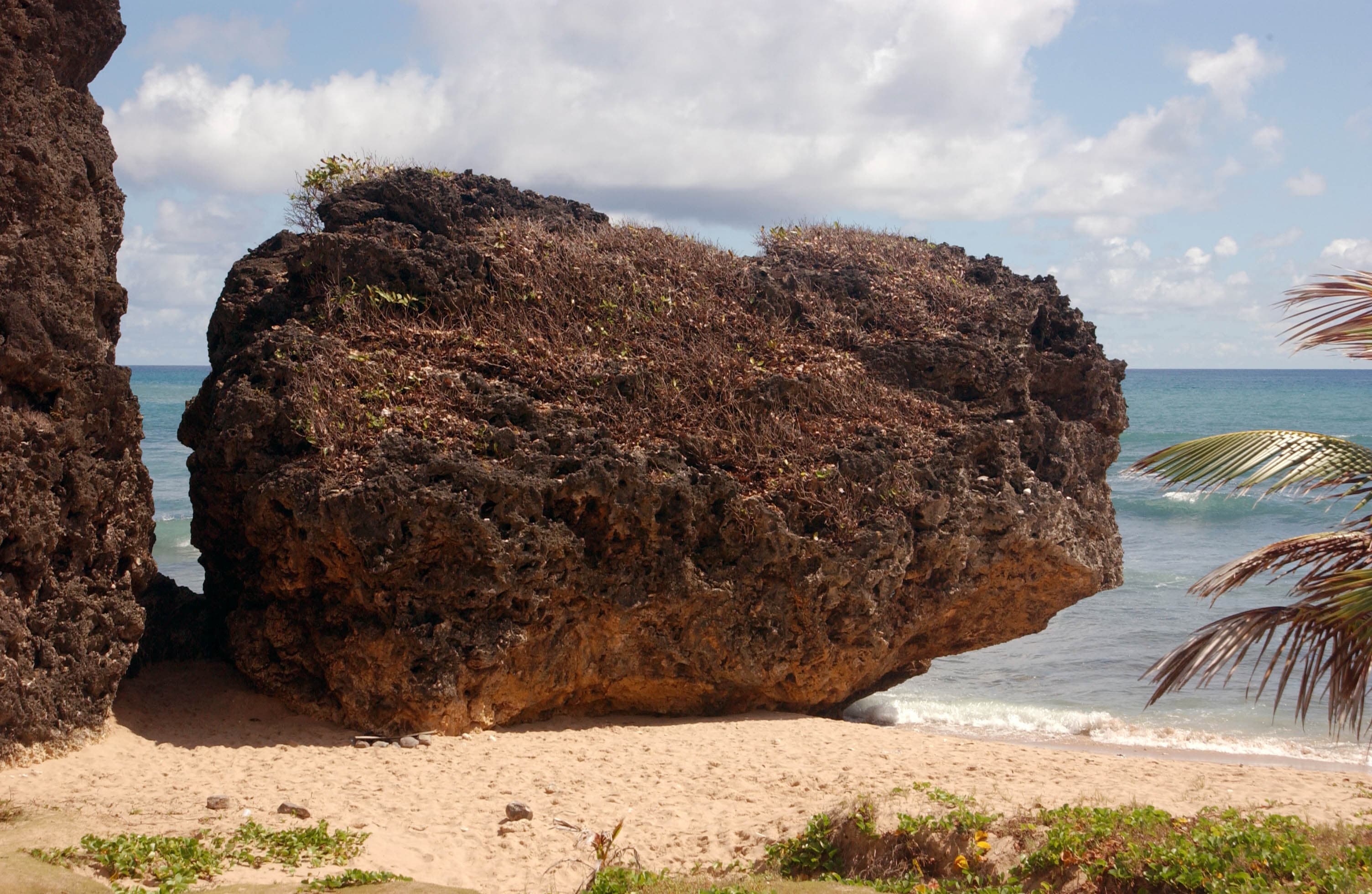 Bathsheba Rock, St. Joseph Parish, Barbados