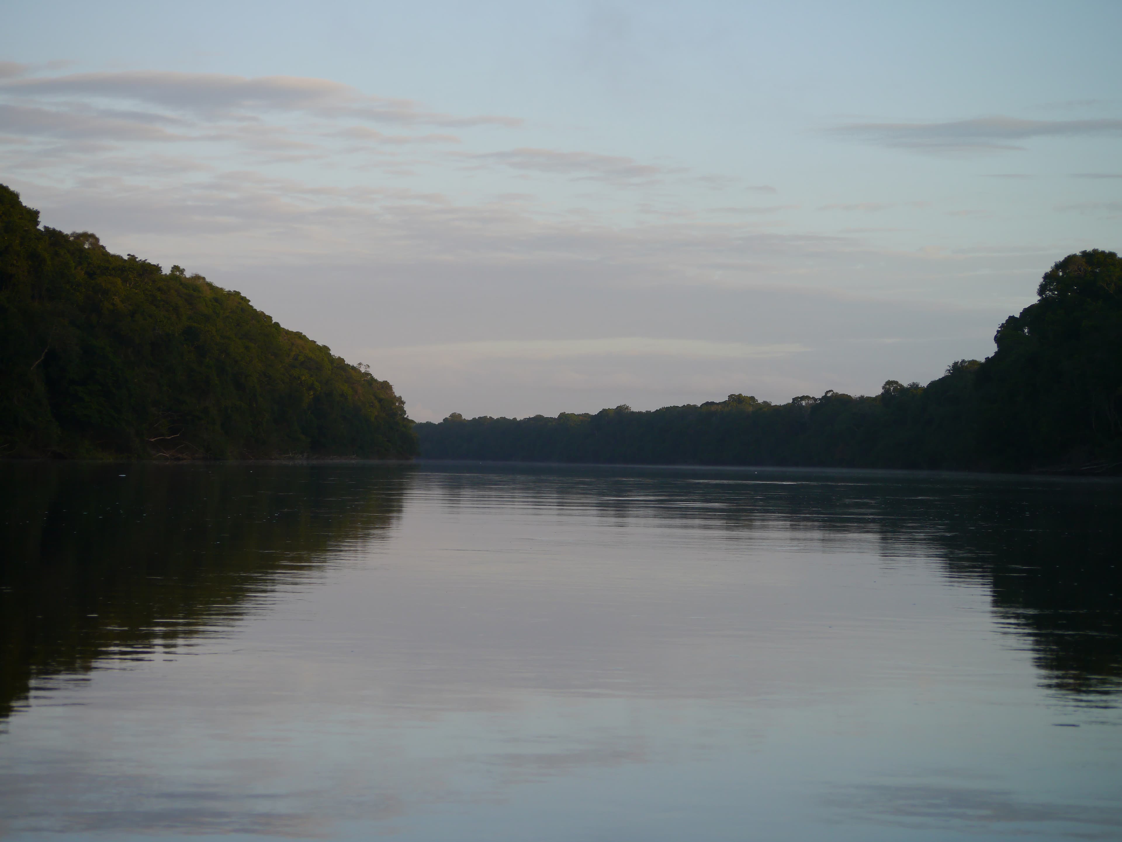 Iwokrama Rainforest, Guyana