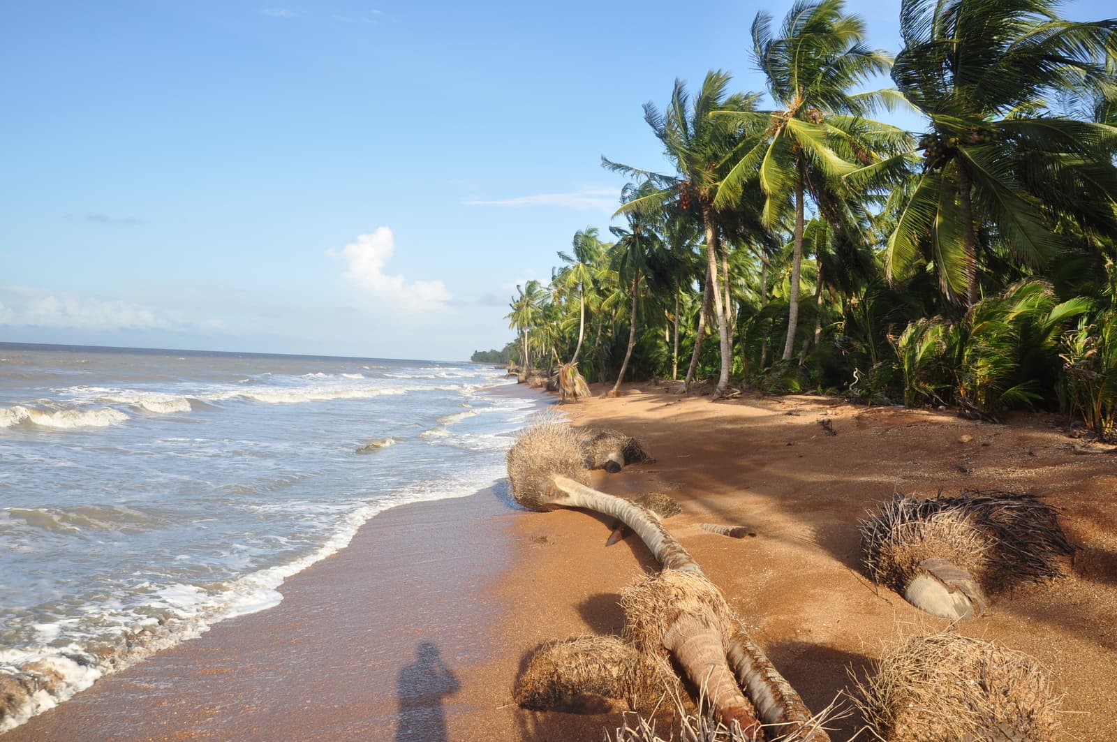 Shell Beach, Guyana