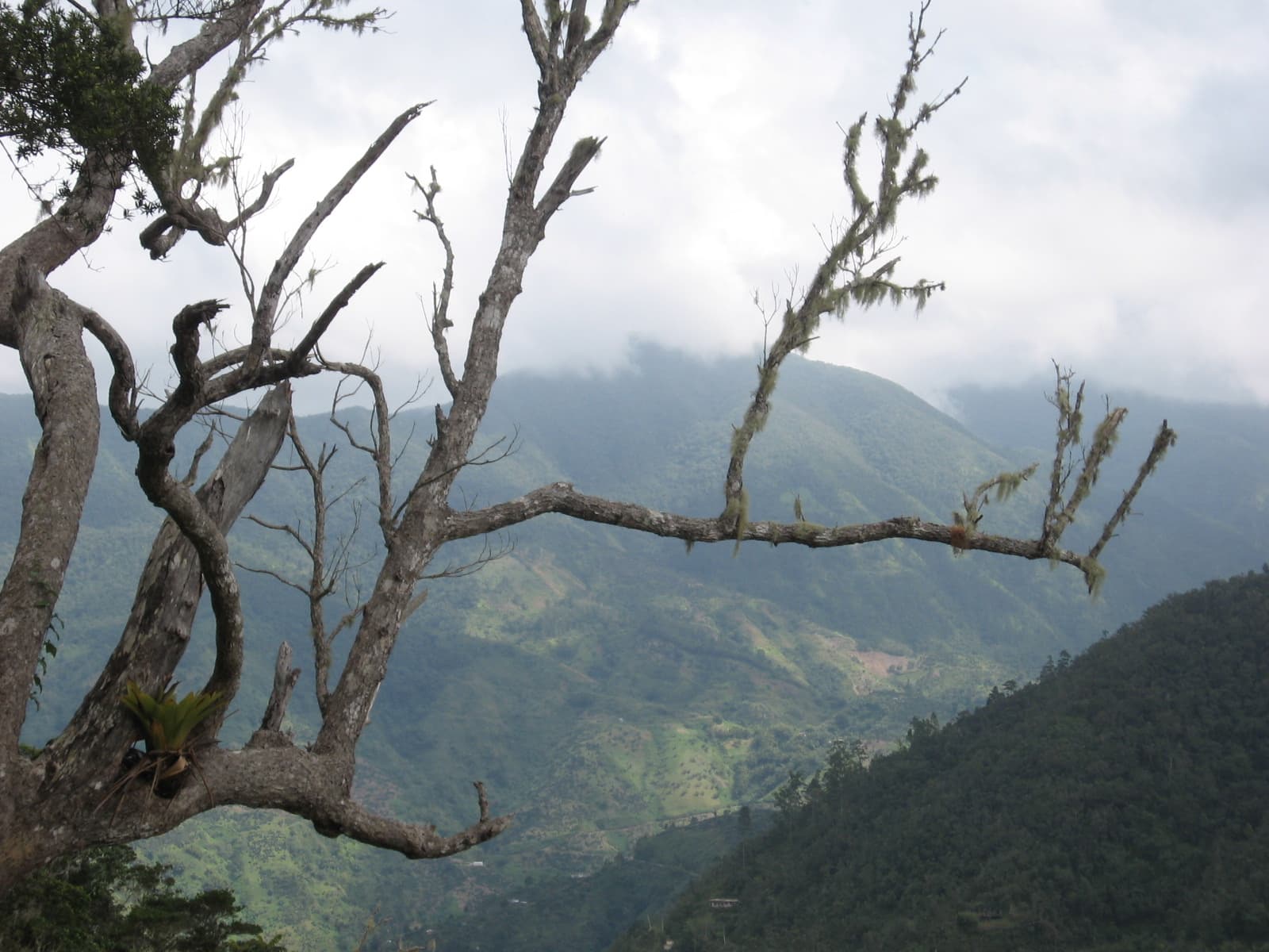 The Blue Mountains, Jamaica