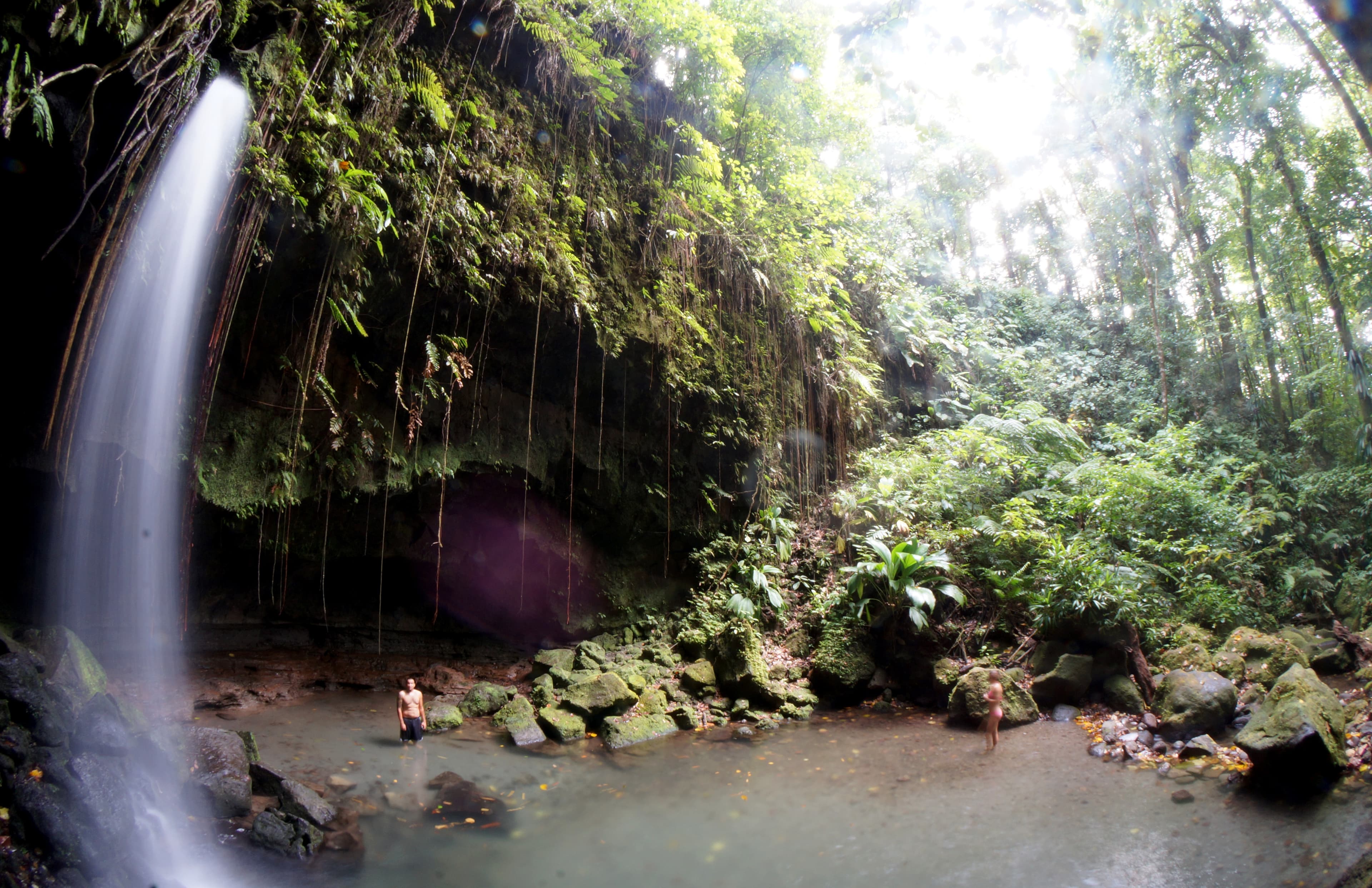 Emerald Pool, Dominica