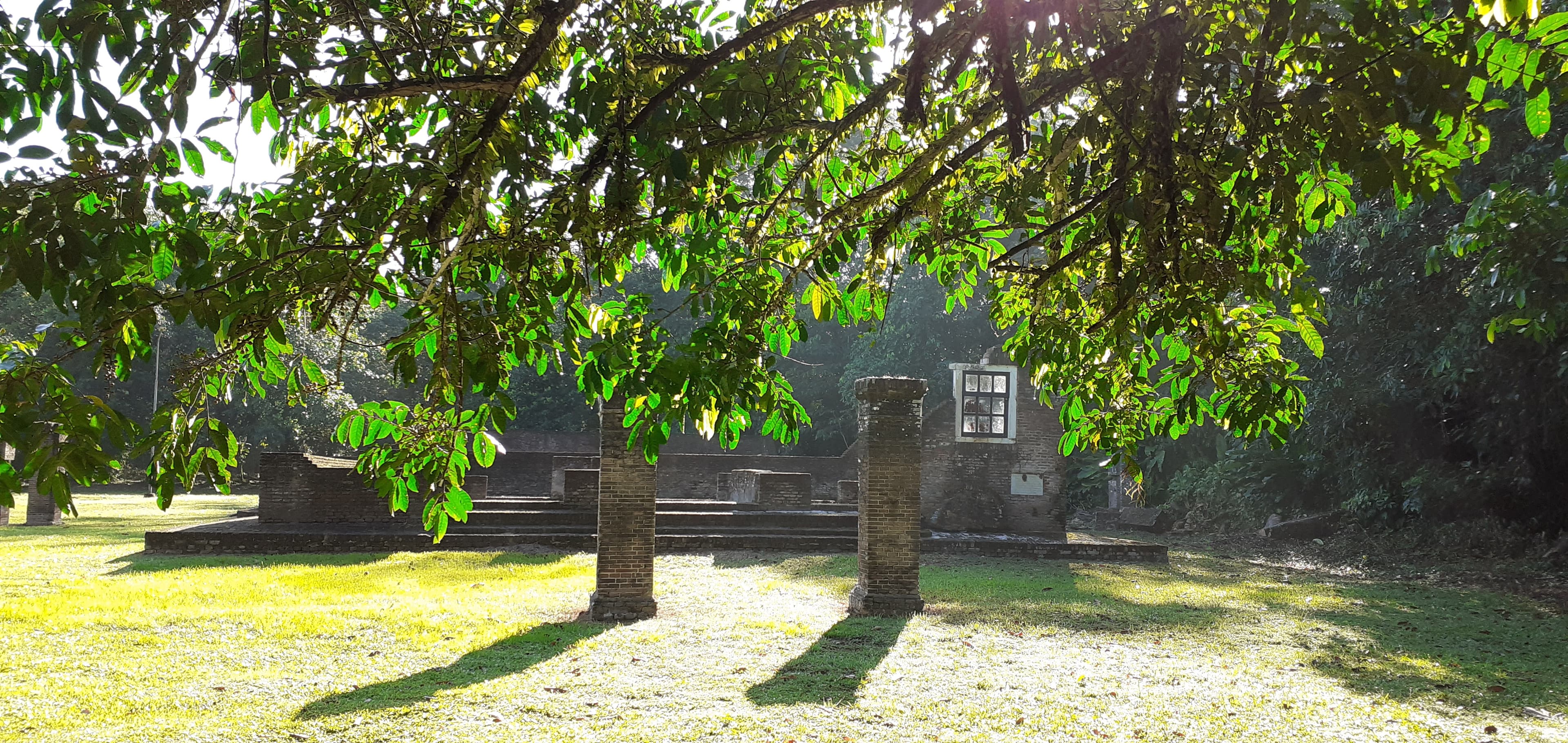 Ruins of the Beraha VeSalom synagogue at Jodensavanne, Suriname