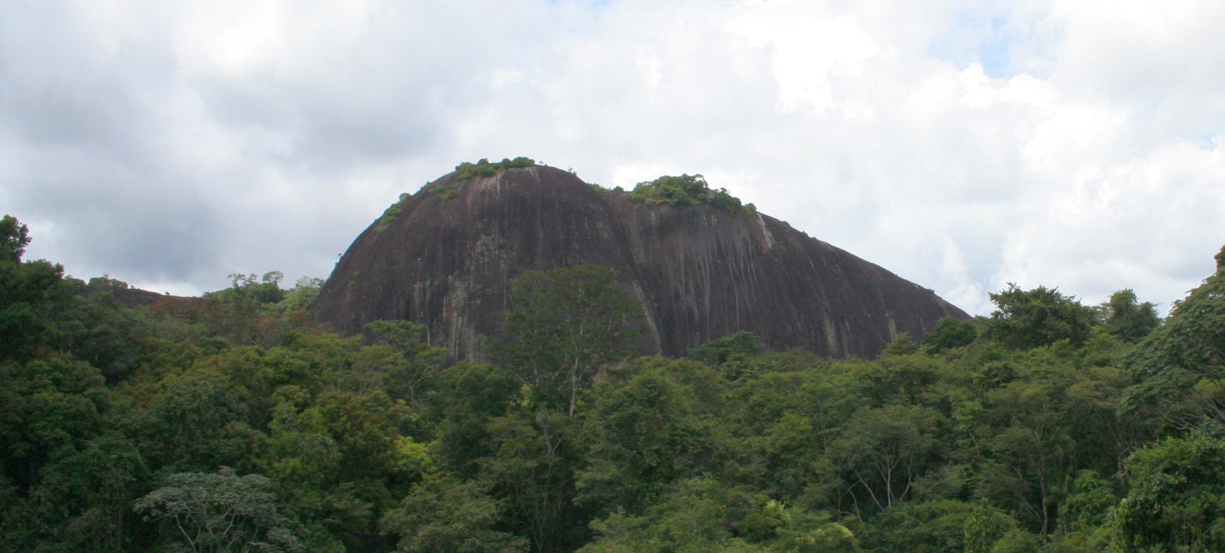 Voltzberg mountain top, Central Suriname Nature Reserve