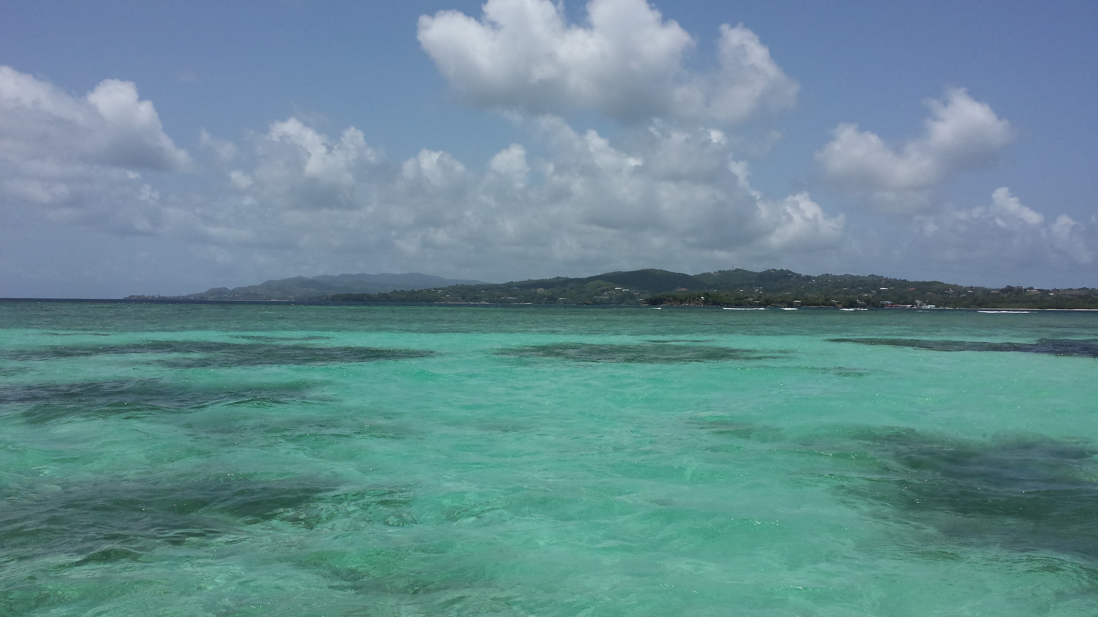 Shallow waters of the Buccoo Reef Complex, Tobago